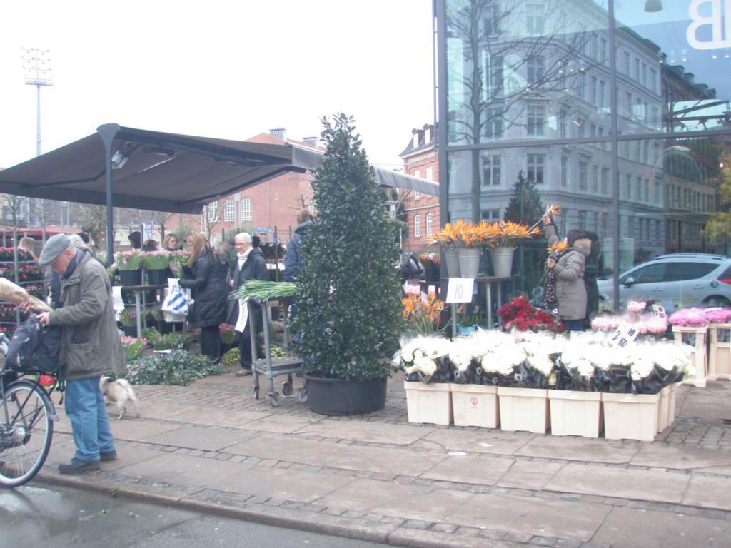 Nyborggade Apartment Kopenhag Oda fotoğraf